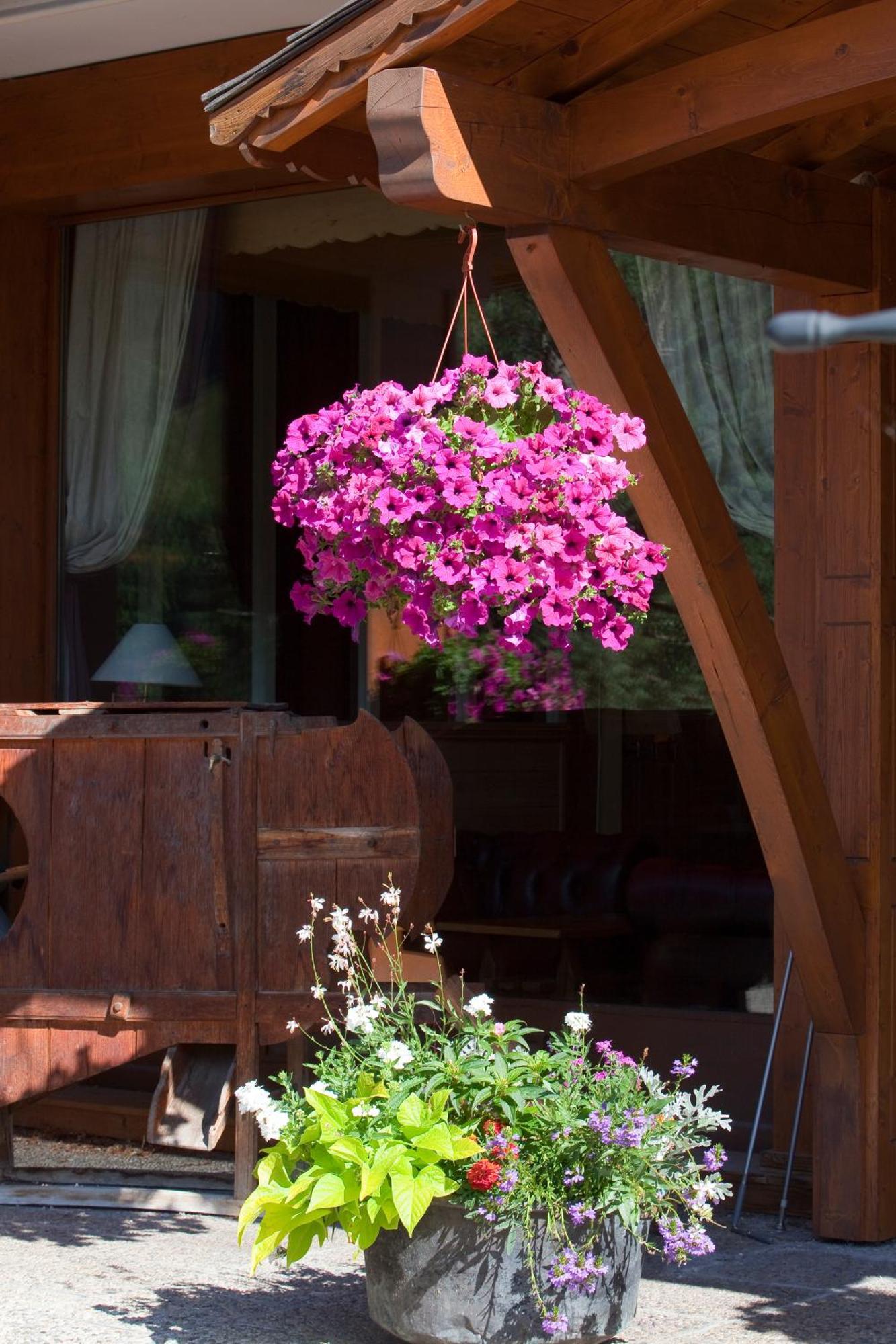 Carlina Hotel La Clusaz Luaran gambar